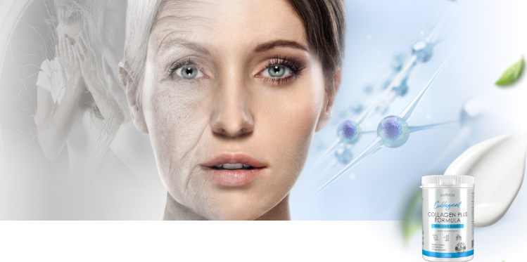 Collagent - ¿Qué es y cómo funciona?
