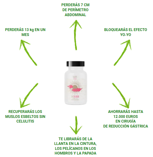 DayBurner: ¿qué es y cómo funciona?